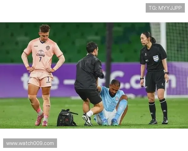 墨尔本城公布澳超次轮名单,纳布特与索普拉延因伤缺阵 墨尔本城公布澳超次轮名单,纳布特与索普拉延因伤缺阵